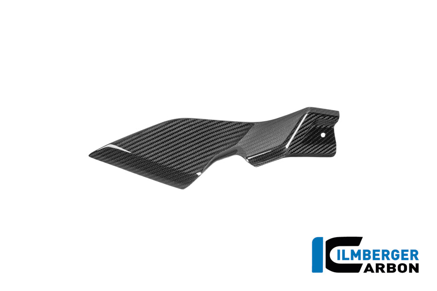 Panel lateral debajo del tanque izquierdo BMW R1250R (2019+)