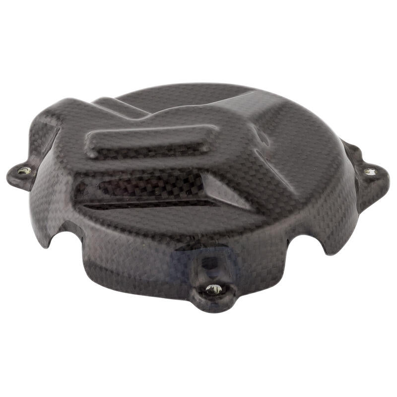 Lightech Carbon Dynamodext (Glossy) BMW S 1000 R (2013-2020)