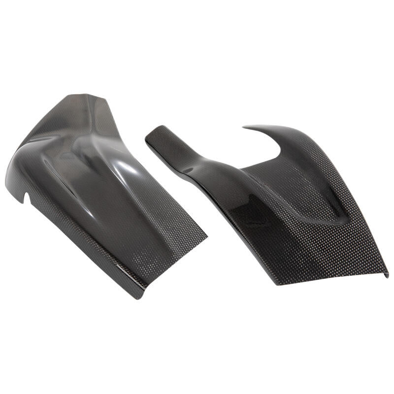 Lightech Carbon AchterBrug Protectors (2 pcs.) (Glossy) BMW S 1000 R (2017-2020)