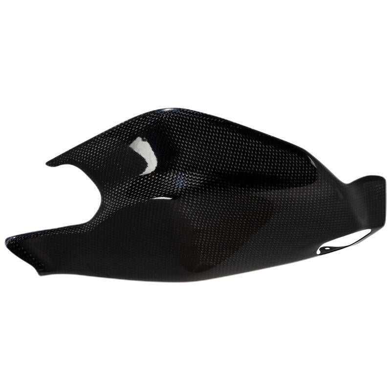 Lightech Carbon Achterbrug Protector (Glossy) Ducati Panigale 1199 s (2012-2015)