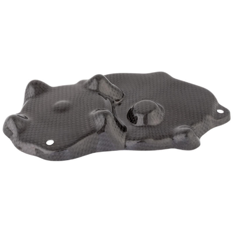 Lightech Carbon Pick-Up Cover (Glossy) Kawasaki ZX-6R Performance (2013-2015)