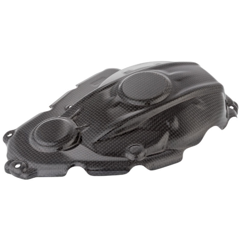 Lightech Carbon Motor Shelter (MAT) Suzuki GSX-R 1000 (2017-2022)