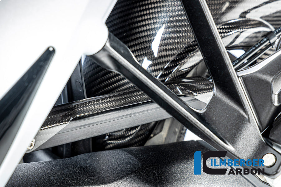 Remleiding cover glanzend carbon BMW R1300GS Adventure Triple Black 2024+