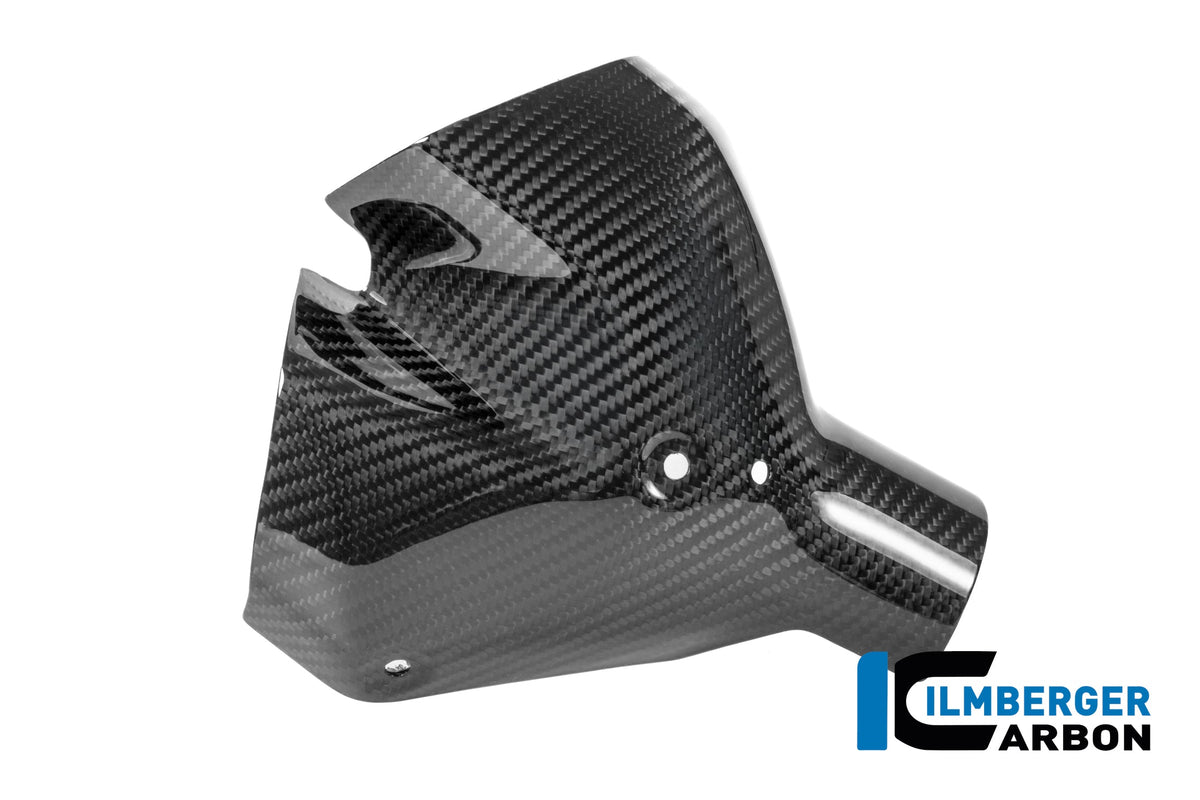 Uitlaat hitteschildset carbon hoogglans BMW R1300R Option 719 Kilauea (2025+)