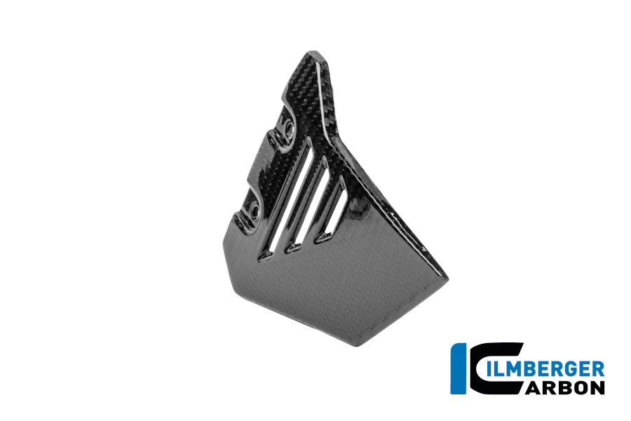 Frame driehoek-cover rechts voorste deel glanzend carbon BMW R1300GS Adventure Option 719 Karakorum (2024+)