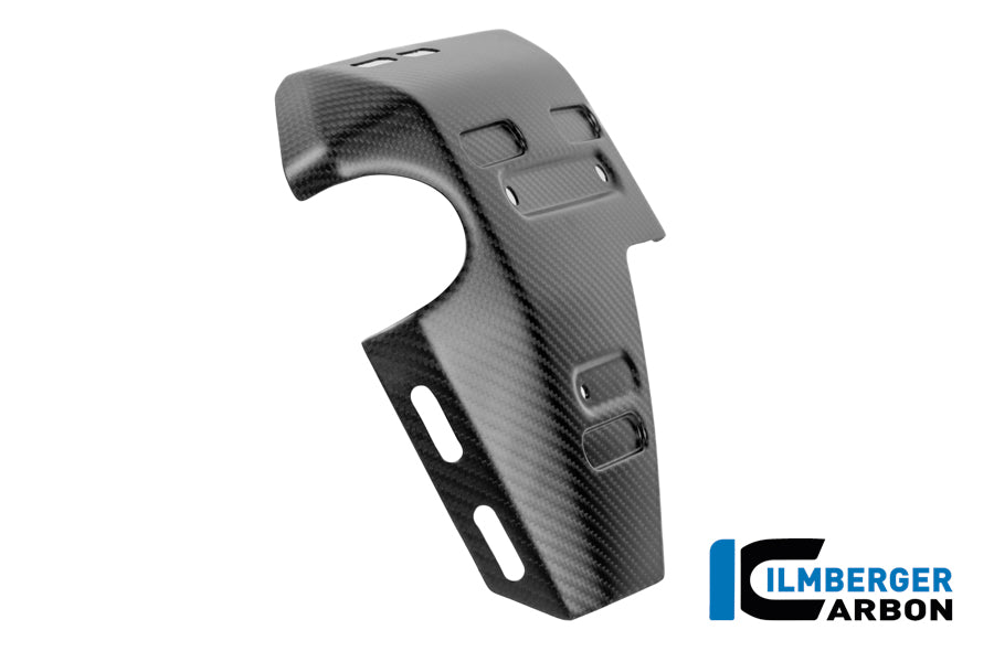 Kühler-Seitenverkleidung links, mattes Carbon, BMW R1300GS Adventure (2024+)