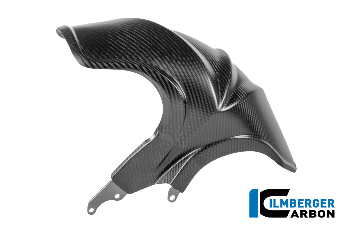 Achterspatbord carbon mat BMW R1300R Option 719 Kilauea (2025+)
