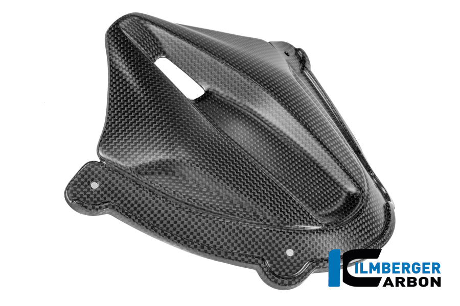 Dashboardcover mat carbon Ducati Panigale V4S (2025+)