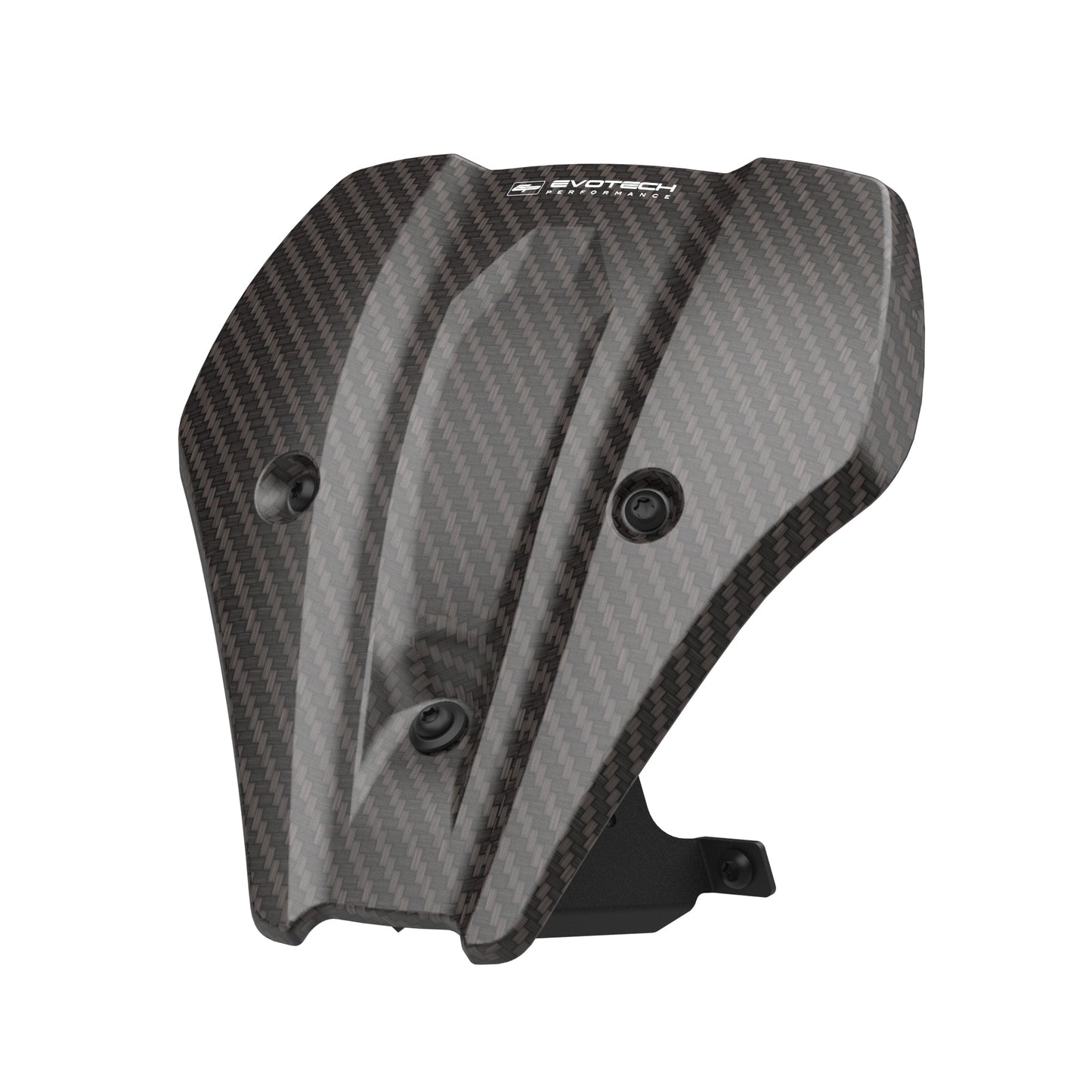 Windscherm Flyscreen Evotech - BMW F 900 R Triple Black (2025+) (Carbon Fibre)