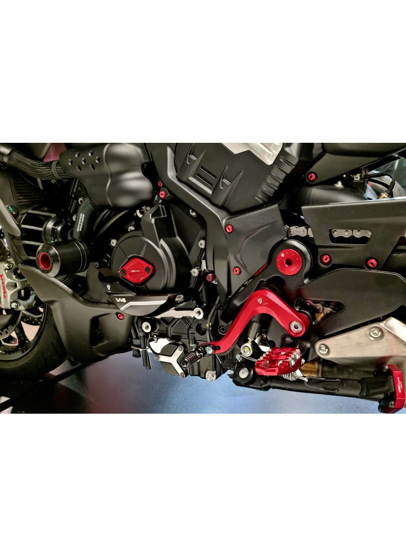 Dynamodeksel beschermer - Ducati Diavel V4 RS 2025+
