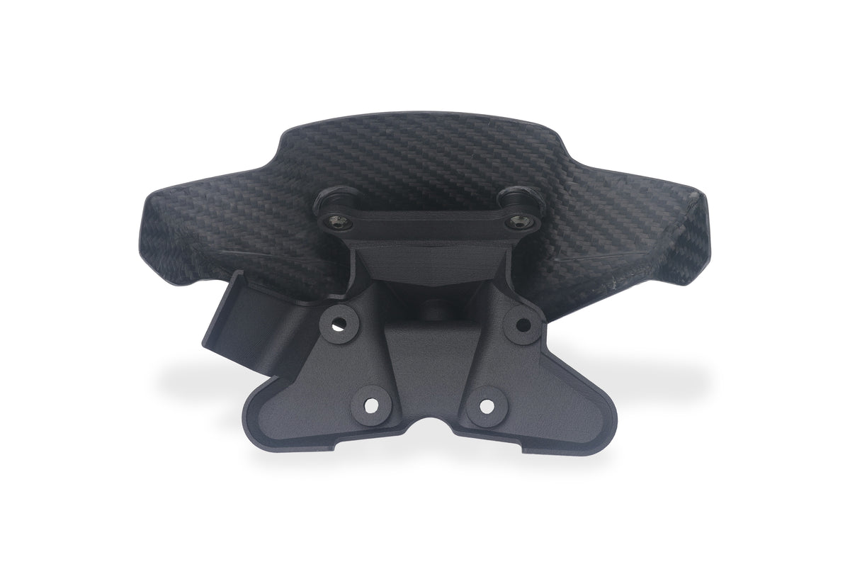 Cúpula de carbono mate Ducati Streetfighter V4 (2025+)