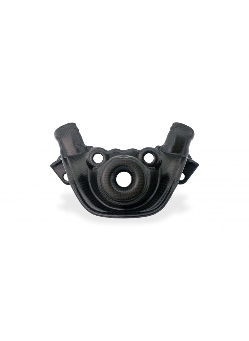 Matt Carbon Ignition Switch Cover Ducati Streetfighter V4 Ducati Streetfighter V4 S (2023+)