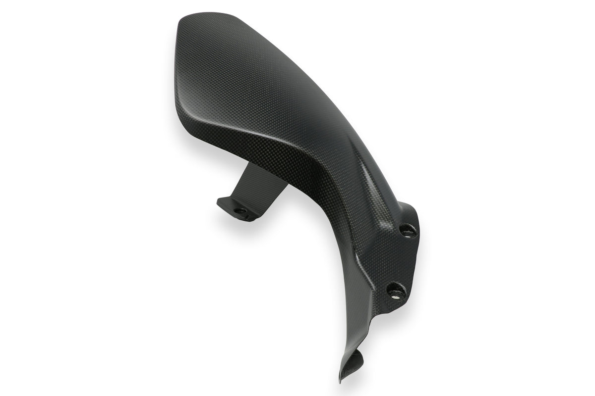 Matt Carbon Turdguard Ducati Streetfighter V4 (2020-2024)