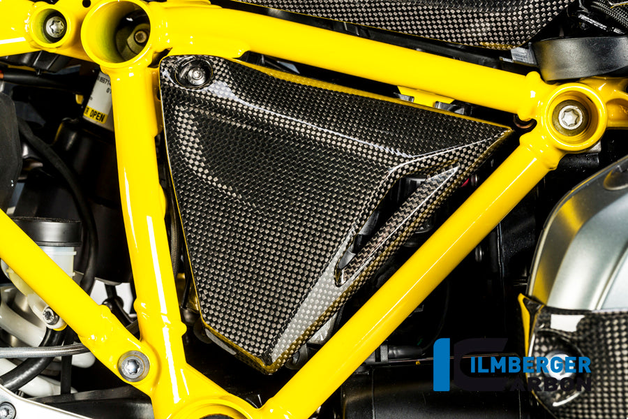 Carbon Frame Infill Panel Right Side R1200GS LC 2013-2018 BMW R 1200 GS LC (2013-2016)