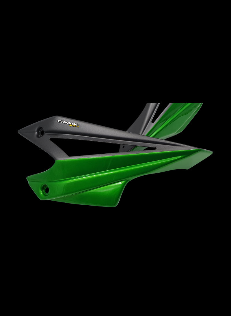 Ermax bellypan (motorspoiler) Kawasaki Kawasaki Z1100 (2026+)