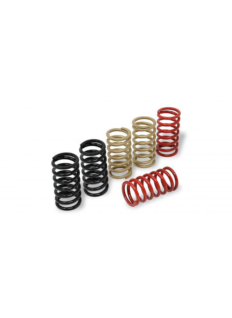 Clutch Springs MV Agusta Rush (2020+)