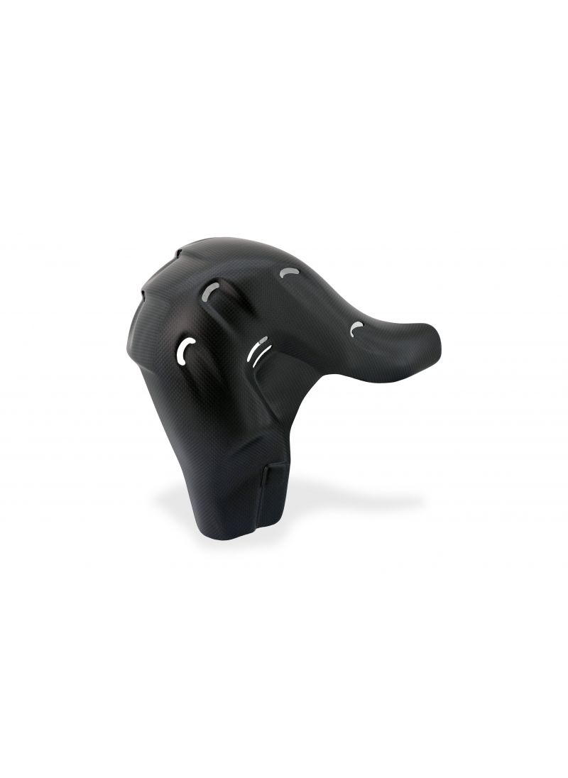 Euro5 escape de escape Guard de carbono Ducati Streetfighter V4 Ducati Streetfighter V4 (2023+)