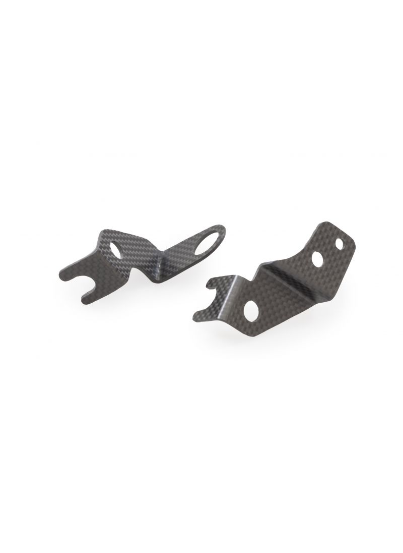 Remvloeistof koppeling vloeistof reservoir steunenset (2 st. ) mat carbon Ducati Monster V2 + (Plus) (2026+)