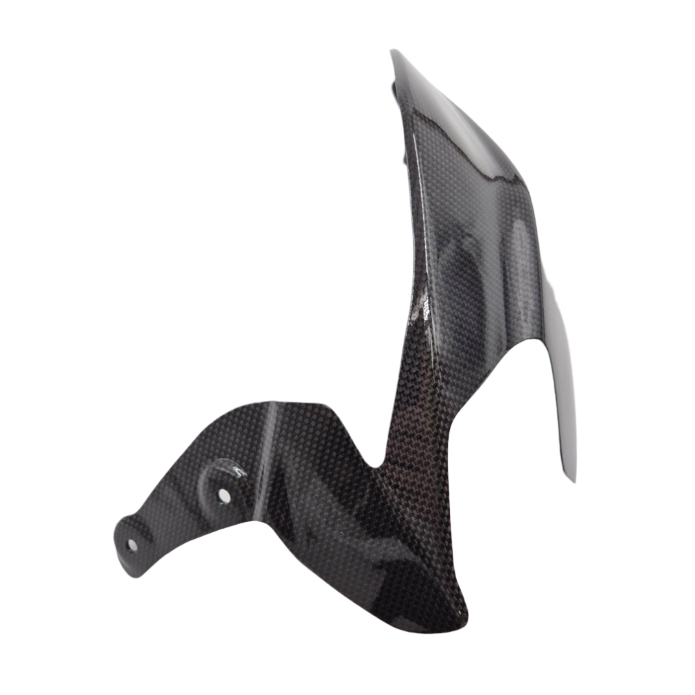FullSix Carbon achterbrug beschermer Panigale 1199 1299