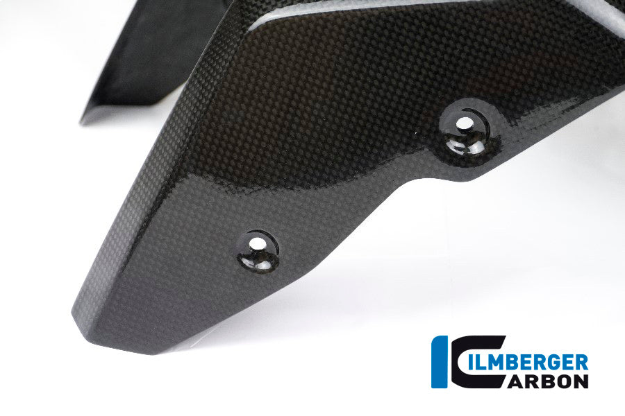Carbon Front Fender Rninet BMW R NINET (2017-2020)