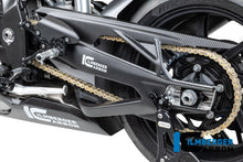 Achterbrug beschermer links mat carbon BMW M 1000 R (2023-2024)