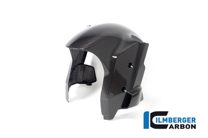 Voorbalbord Racing Carbon BMW M 1000 RR (2023+)