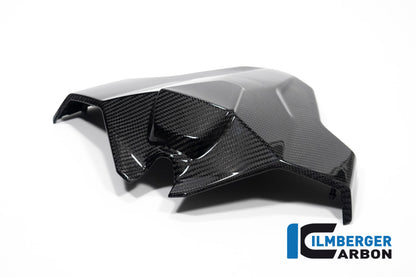 Monoposto -Sitzeinheit Hochglanzkohlenstoff BMW M 1000 RR (2023+)
