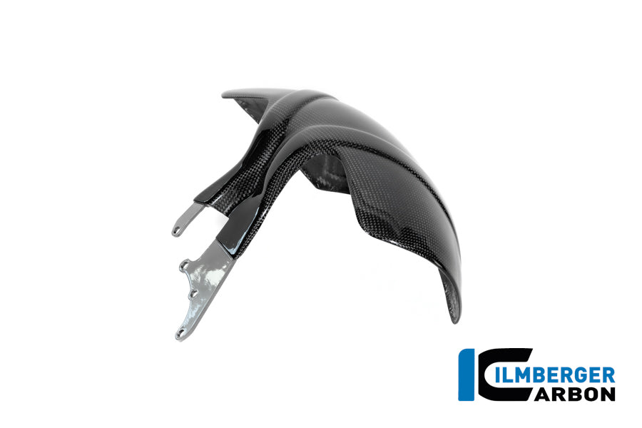 Rear Fender Glossy Carbon R 12 Nine T 2024+