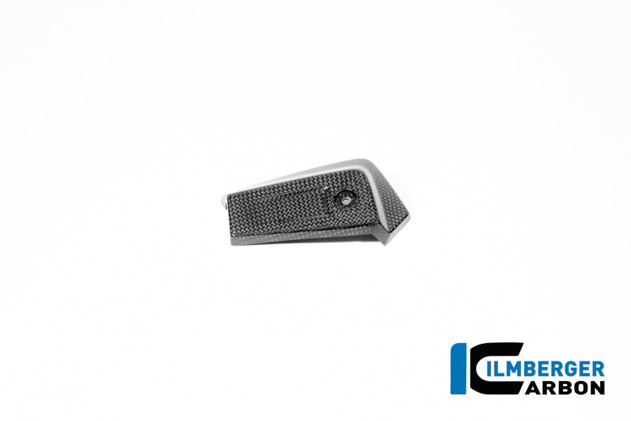 Oliekoeler cover links glanzend carbon BMW R12S (2025+)