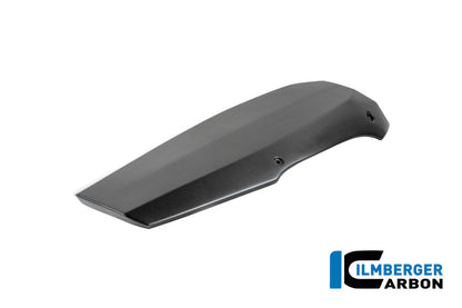 Motorspoiler mat carbon BMW R12S (2025+)
