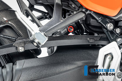 Bremsleitungsabdeckung glänzender Kohlenstoff BMW R 12 Nine T 2024+
