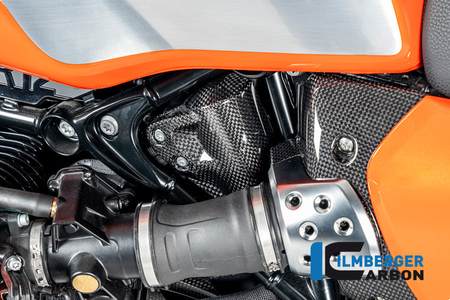 Tank ontluchting cover glanzend carbon R12 G/S (2025+)