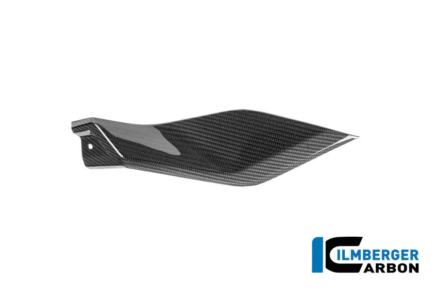 Sidopanel under tanken vänster BMW R1250R (2019+)
