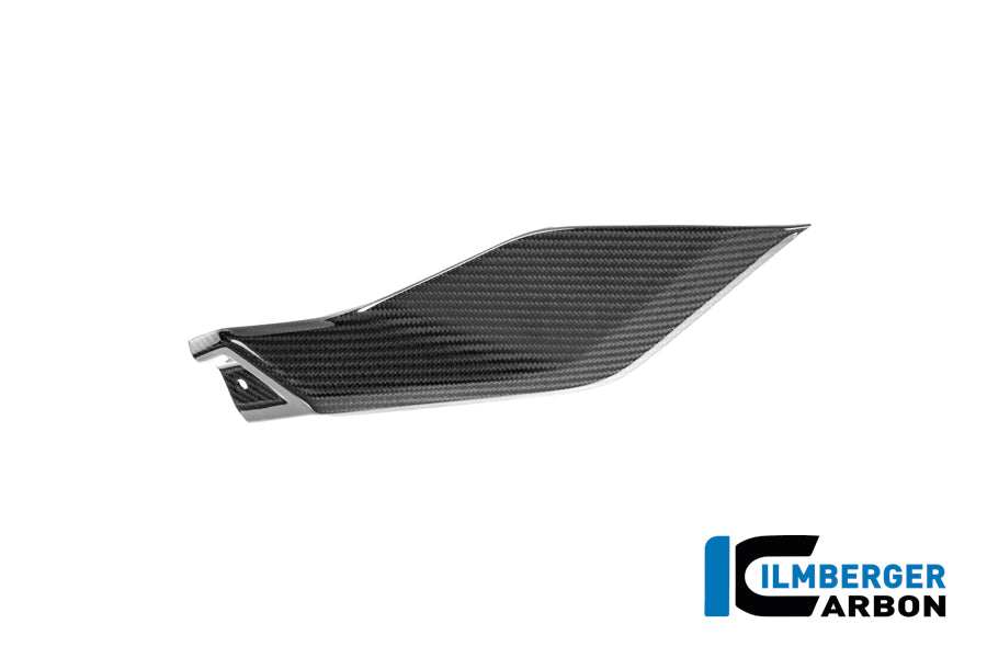 Sidopanel under tanken vänster BMW R1250R (2019+)