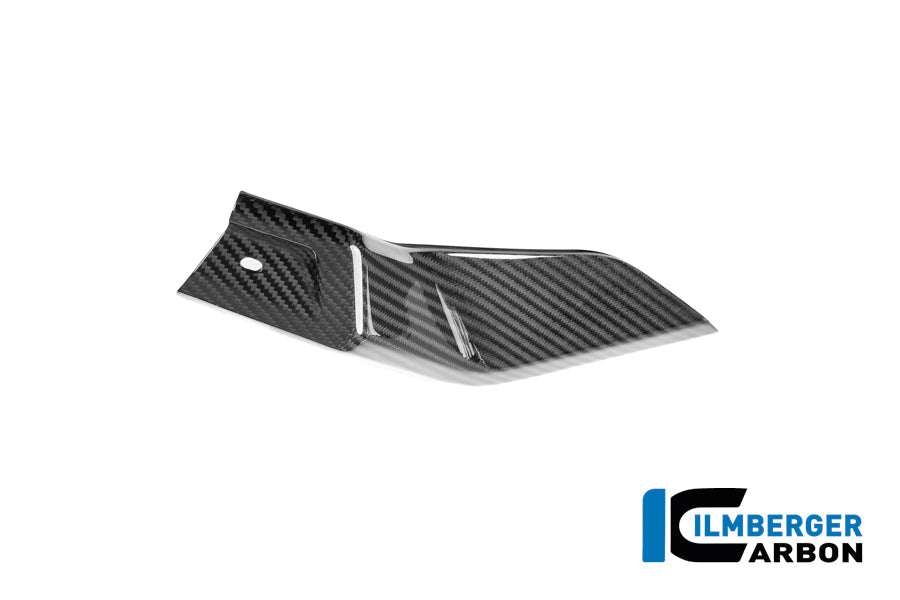 Zijkuip onder de tank links (onderpaneel) glanzend carbon BMW R1300GS Adventure Trophy (2024+)