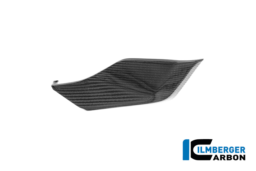 Sidopanel under tanken vänster BMW R1250R (2019+)
