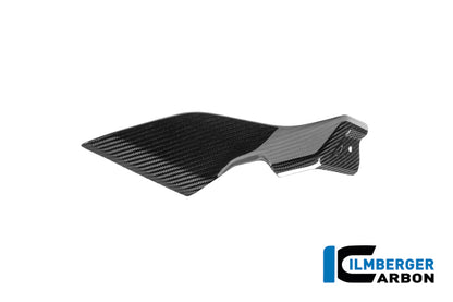 Sidopanel under tanken vänster BMW R1250R (2019+)