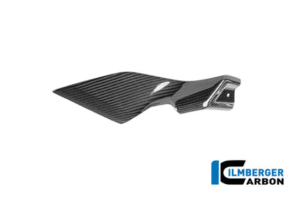 Sidopanel under tanken vänster BMW R1250R (2019+)