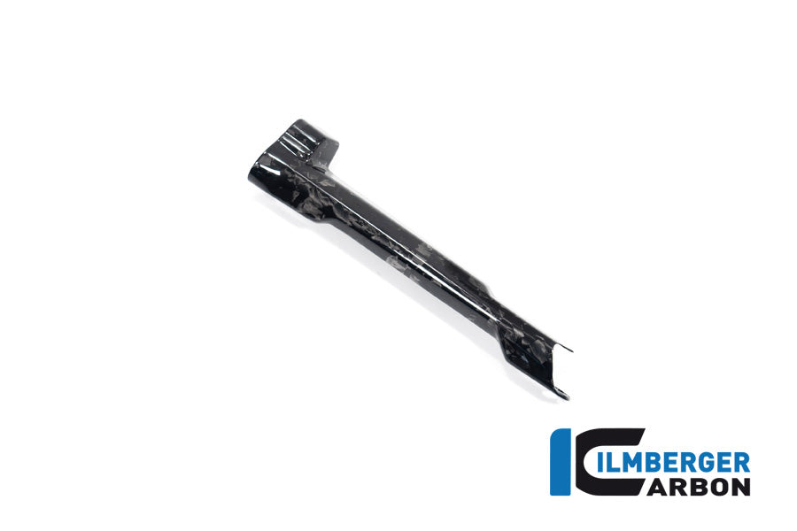 Remleiding beschermer glanzend BDC carbon BMW R1300RS Performance (2025+)