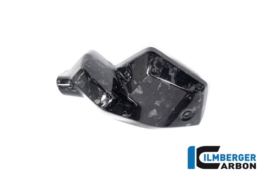 Injector cover links glanzend BDC carbon BMW R1300R Exclusive (2025+)