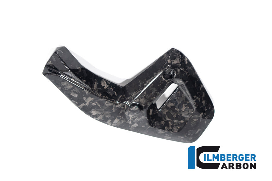 Framecover links glanzend BDC carbon BMW R1300R Performance (2025+)