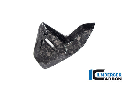 Framecover rechts glanzend BDC carbon BMW R1300R Option 719 Kilauea (2025+)
