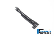 Remleiding beschermer mat BDC carbon BMW R1300RS Performance (2025+)