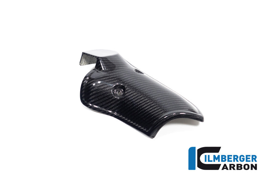 Uitlaat Hitteschild glanzend carbon BMW R1300GS 2023+