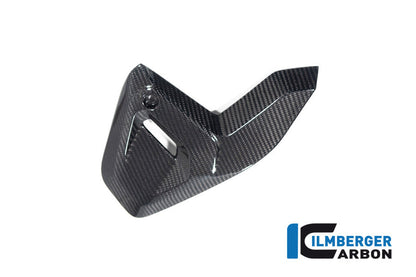 Framecover rechts glanzend carbon BMW R1300R Performance (2025+)