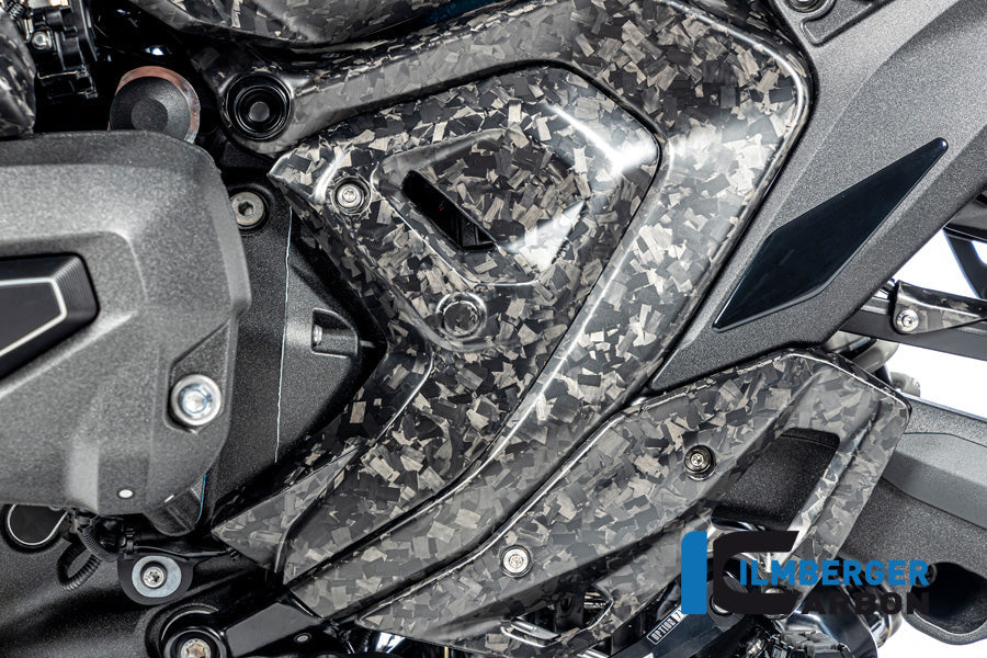 Framecover links mat BDC carbon BMW R1300R Performance (2025+)