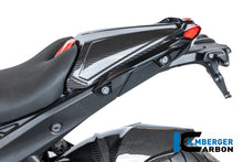 Duozit afdekking carbon hoogglans BMW R1300RS Option 719 Cuyamaca (2025+)