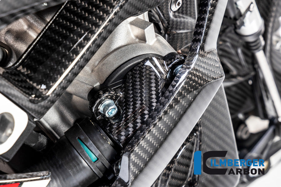 Waterpompdeksel glanzend carbon BMW M 1000 R (2025+)
