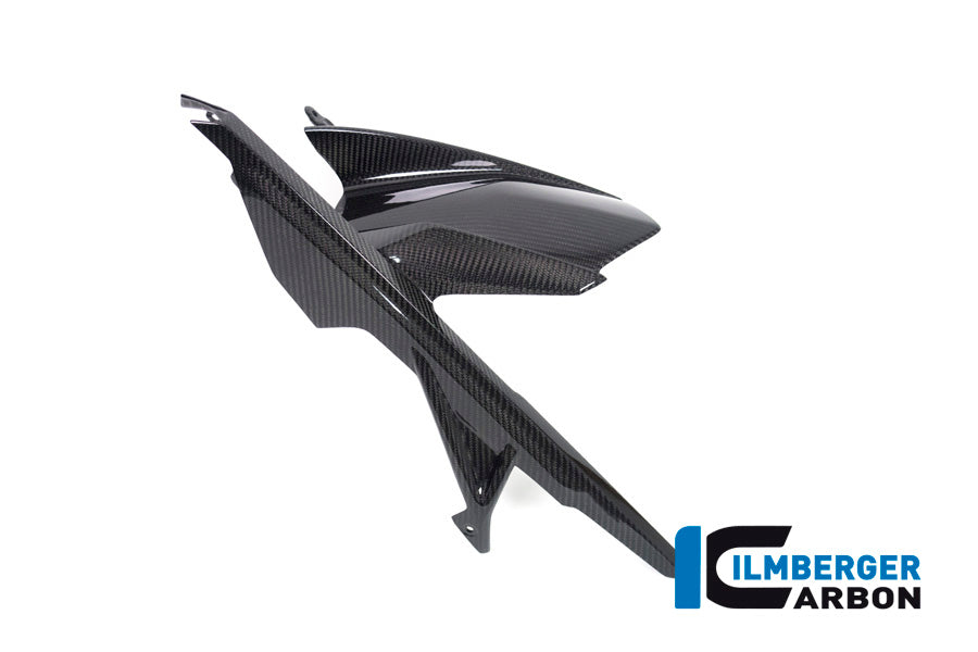 Hinterer Hugger inkl. Upper Chauard BMW S1000R (2021+)