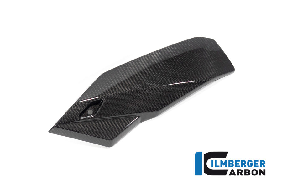 Bellypan links glanzend carbon BMW M 1000 R (2023-2024)